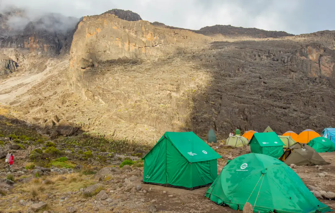In Tents At Mawenzi Tarn Camp
