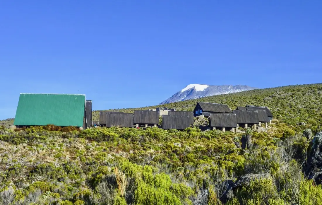 Tents At Horombo Camp