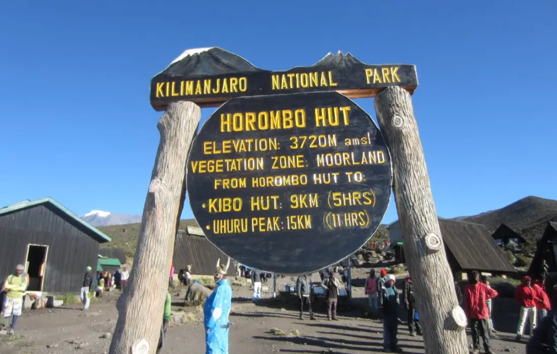 Tents At Horombo Camp