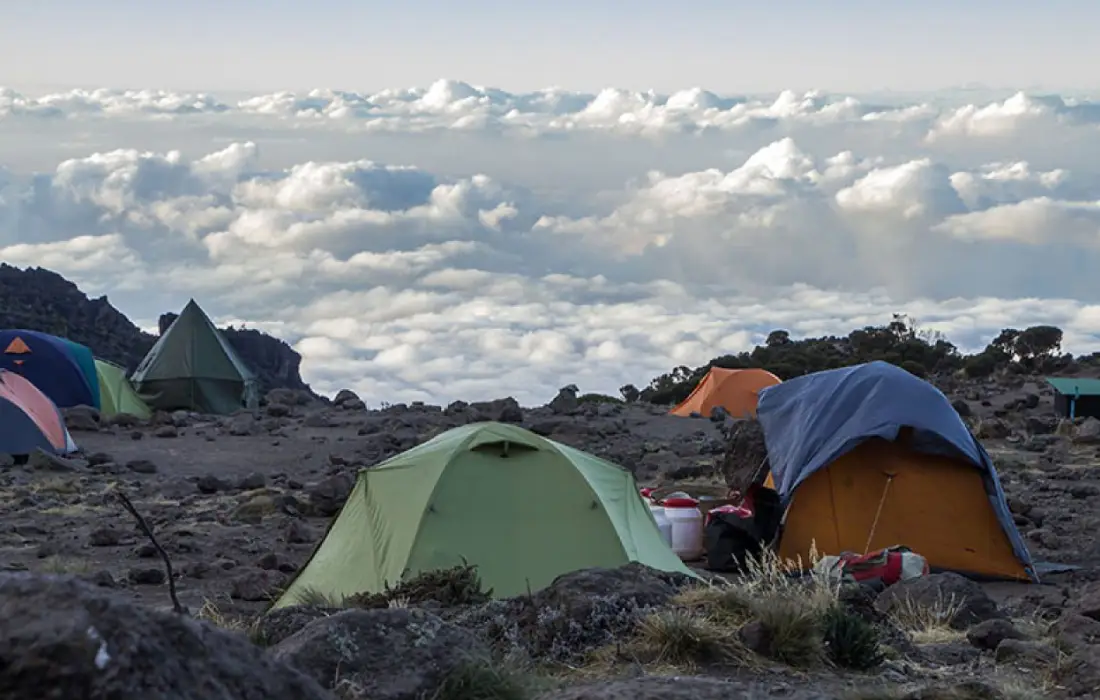 In Tents At Simba Camp